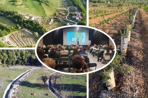 Agroforesterie participative en vallée de la Bourbre : et si on pouvait cultiver l’eau ?