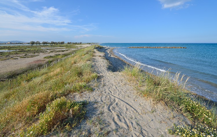 Frontignan, Hérault 01