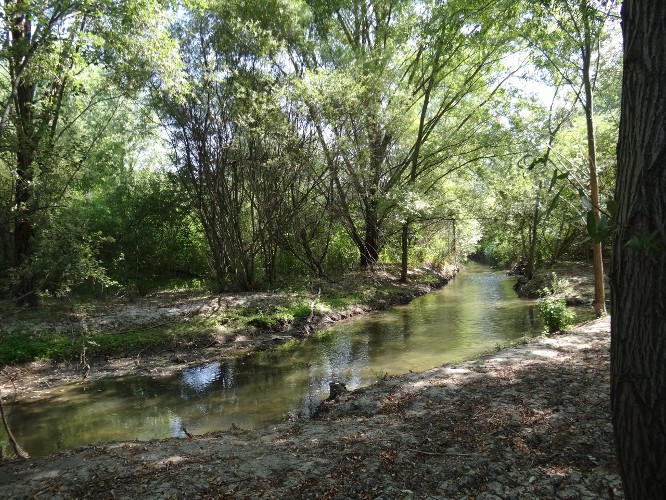 photo1