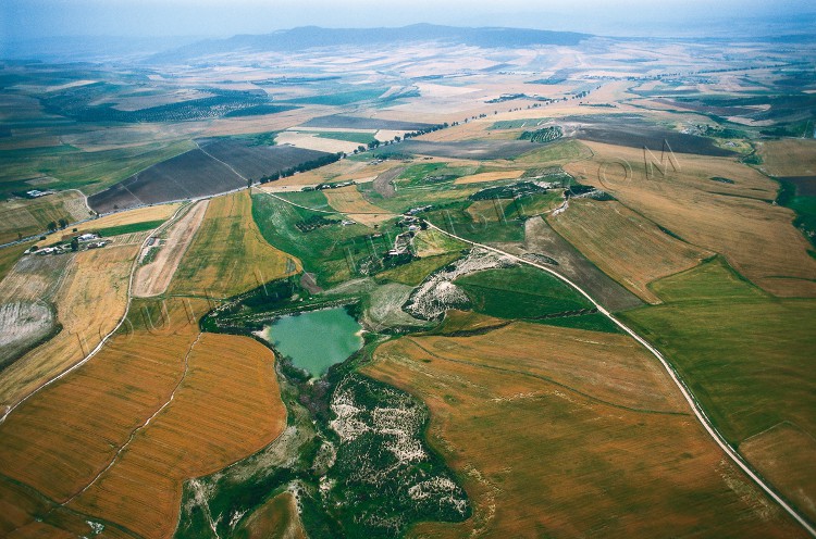 Terre agricole siliana credits toutelatunisie.com