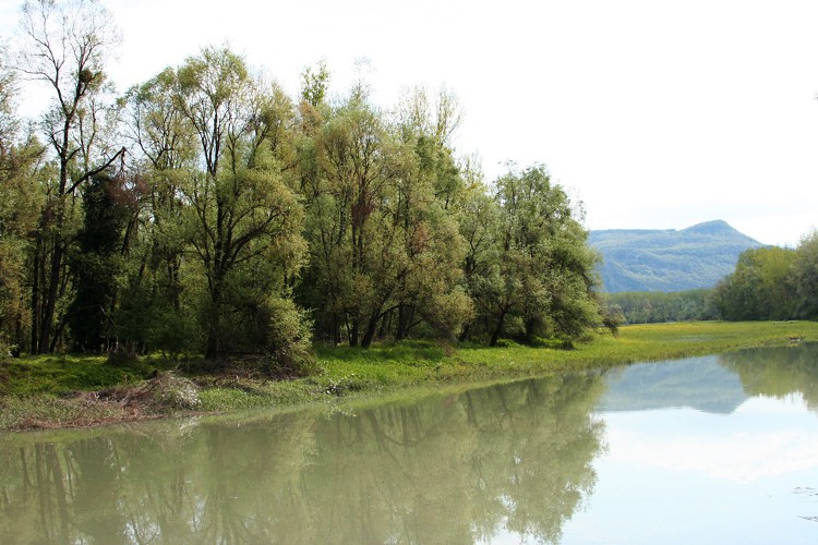 Le Rhône -lône en l'ilon Les Avenières R.Quesada (9)