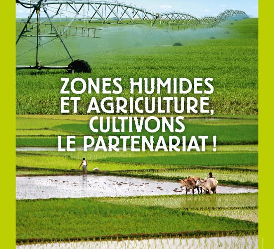 Ramsar Affiche HR F