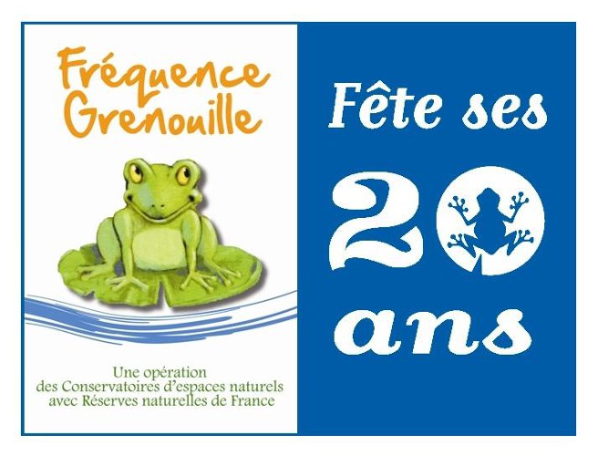 20-ans-frequence-grenouille-version-bleu