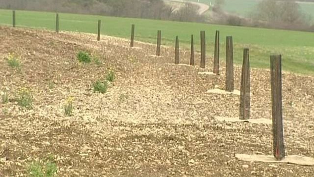 agroforesterie 0