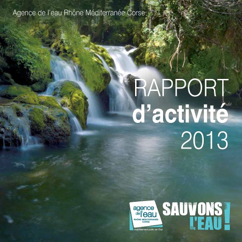 COUV rapport activite 2013 bd2