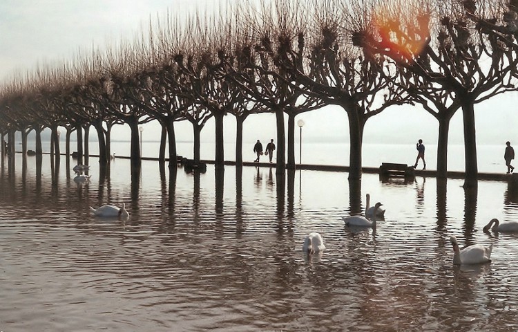 Inondation lac du Bourget (1990)