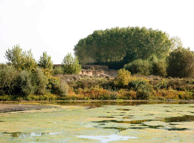 29-fretterans-milieu eutrophisé