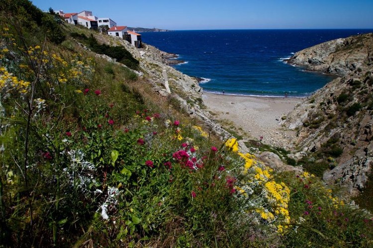 Le littoral de la réserve - R. Meigneux - Coeurs de nature - SIPA