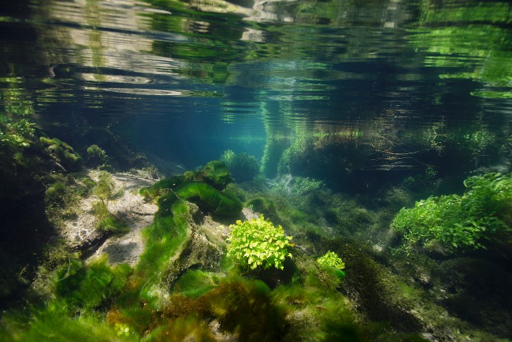 Source de la riviere Gervanne