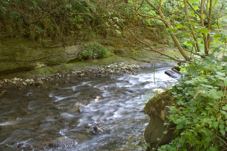 Cours d'eau Gottéron