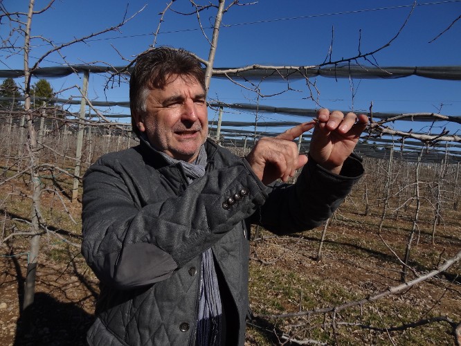 Daniel Poincelet soigne ses pommiers ©F-Roux