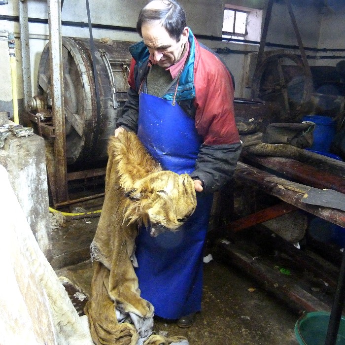 tannerie Rougy2