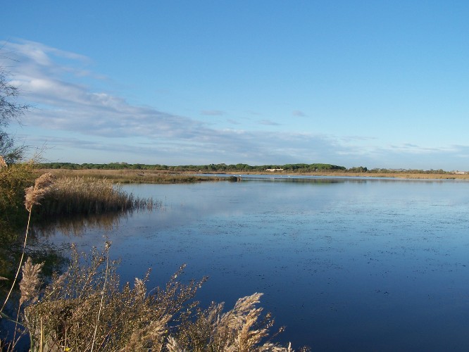 © Photo: E.M. Conservatoire de l’Espace Littoral et des Rivages Lacustres