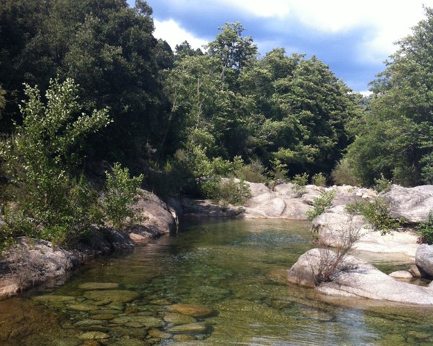 © Photo: Agence de l'eau RMC