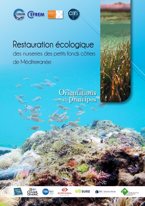 couv guide restauration