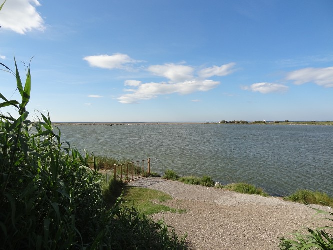 Lagune de la Sarrazine