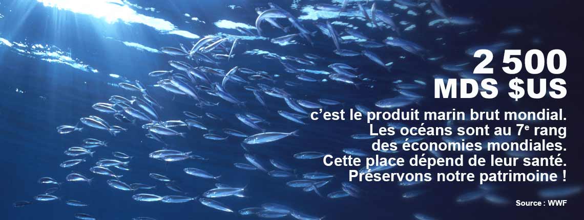 2500 MDS $US, c'est le produit marin brut mondial. Les océans sont au 7ème rang des économies mondiales. Cette place dépend de leur santé. Préservons notre patrimoine ! (source : WWF)