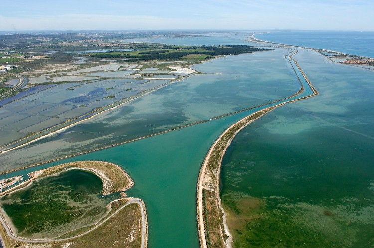 Etang du Ponet à Frontignan - SIEL