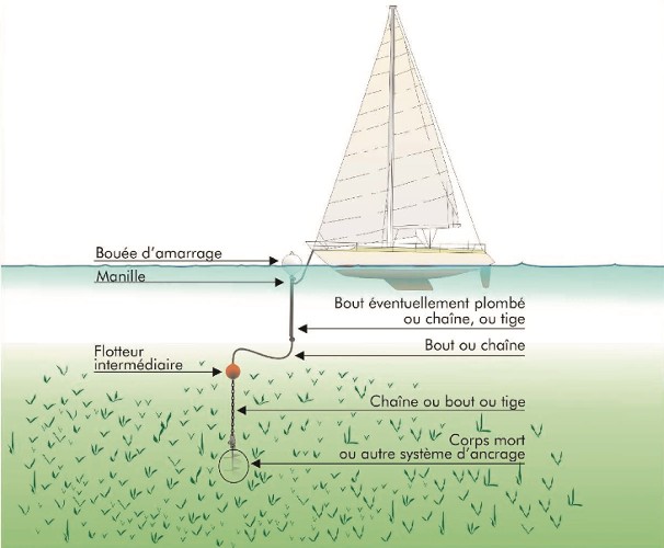 Schema mouillage ecologique ©BRLi