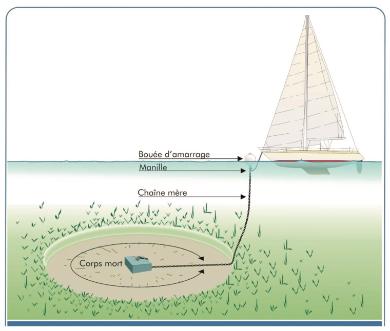 Schéma mouillage traditionnel ©BRLi