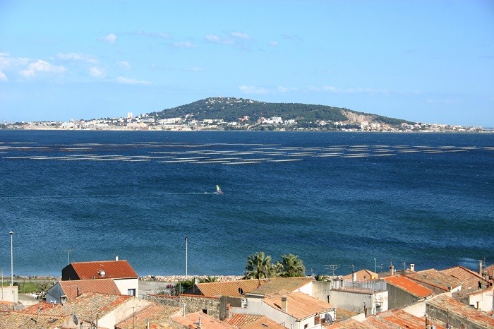 EtangThau-ville de Mèze-Franck Billeton