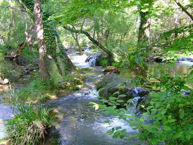 Gorges du Caramy