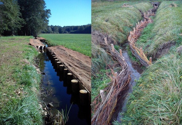 Travaux effectués sur les ruisseaux et marias de Saône