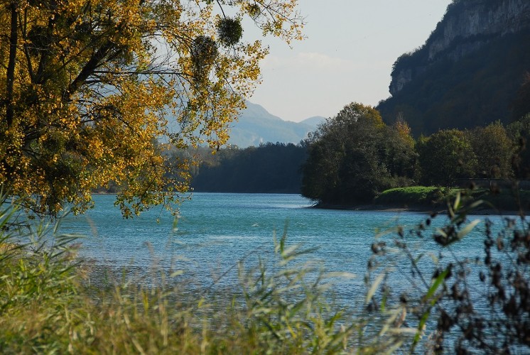 Fleuve Rhône G Poussard