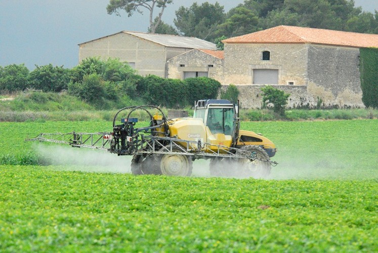 Pesticides vignes melons