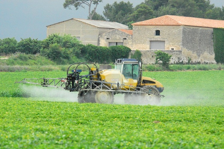 Pesticides vignes melons