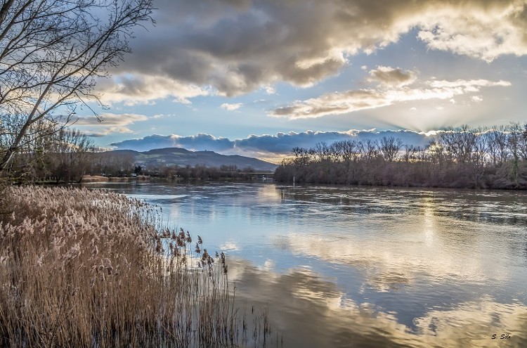 bords de saone stephane selo
