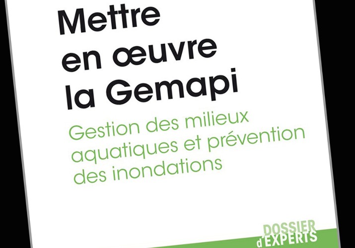 Mettre en oeuvre la Gemapi - Publication