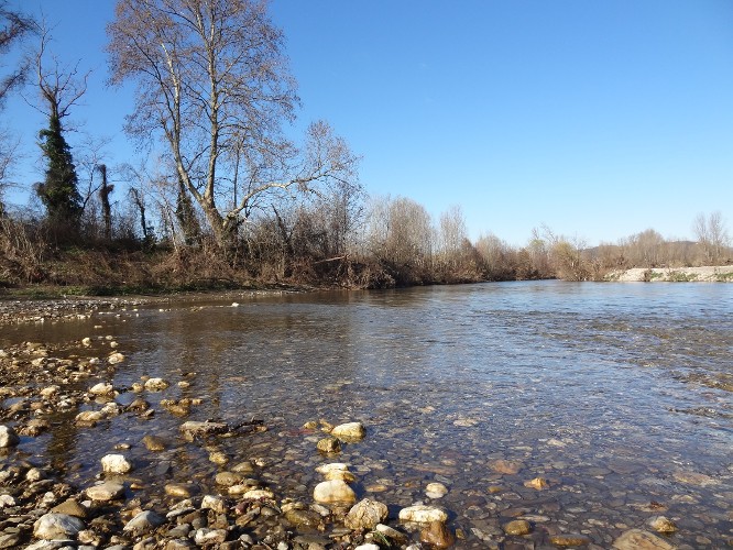 Gardon Alès aval