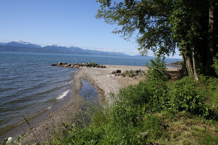 Plage Léman 2