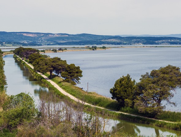 Le canal de la Robine