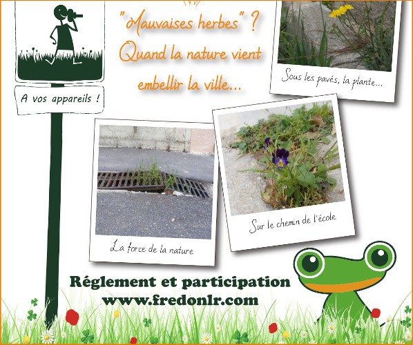 Concours FREDON LR