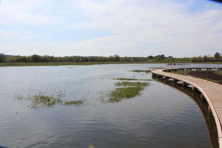 La plaine du Plan