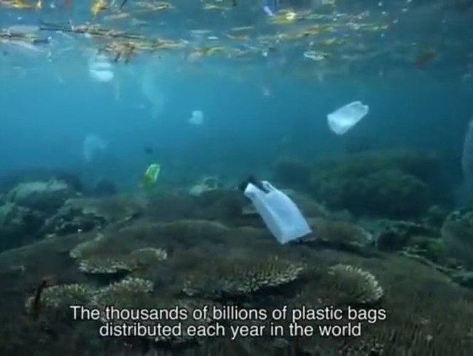 Plastique dans les océans