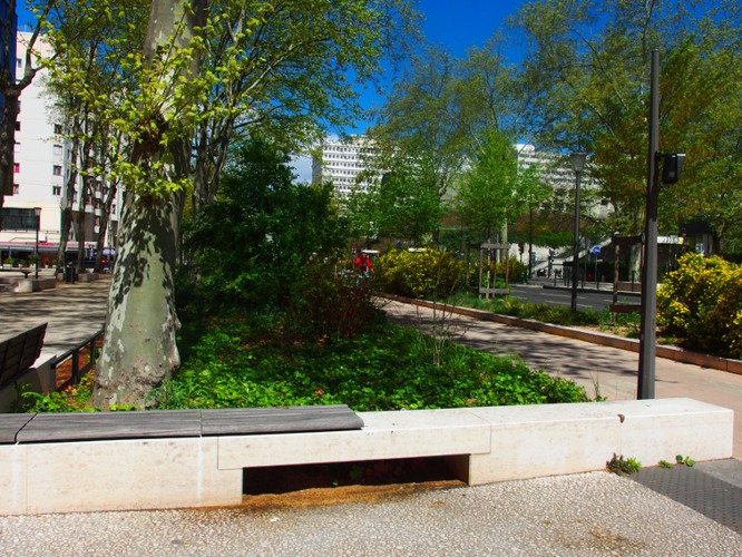 Aménagement sur la rue Garibaldi - Lyon