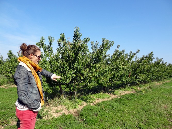 Laurie Castel, chargée de projet de la chambre d'agriculture de la Drôme