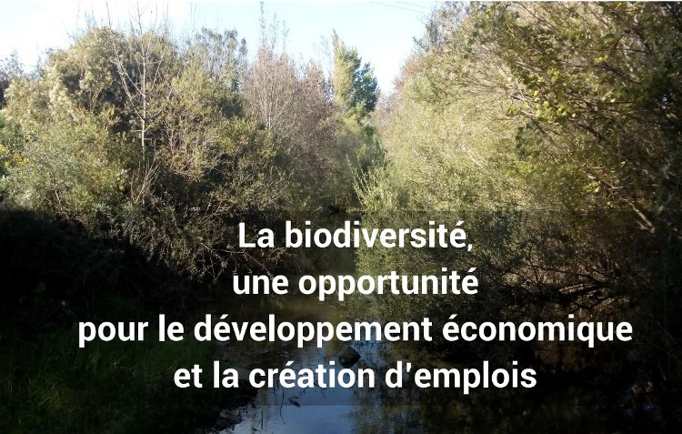 Biodiversité et développement économique