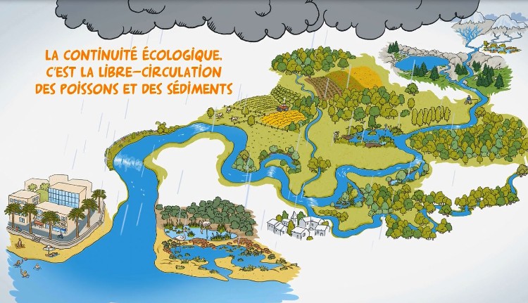 La continuité écologique