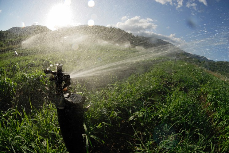 Irrigation - Crédit Régis Domergue