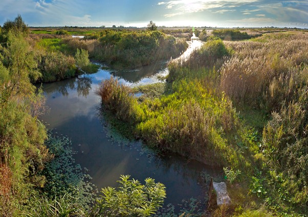 Marais des Gargattes - S Baudouin SMCG