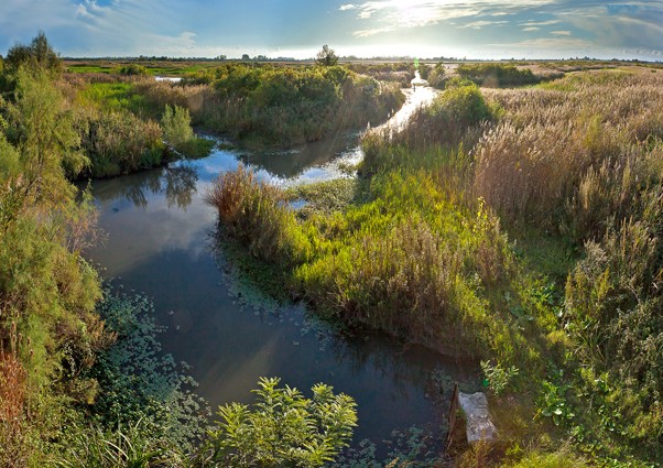 Marais des Gargattes - S Baudouin SMCG