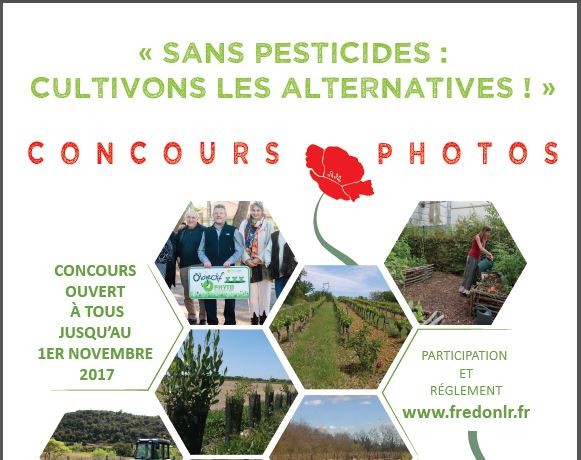 Concours photos - Sans pesticides, cultivons les alternatives