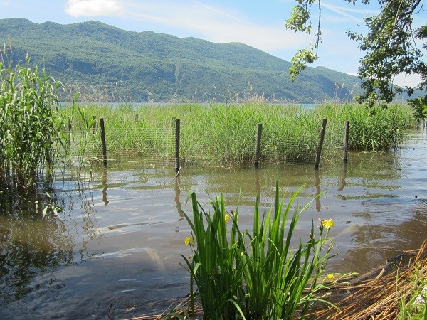 Opération exceptionnelle de baisse du niveau du lac du Bourget