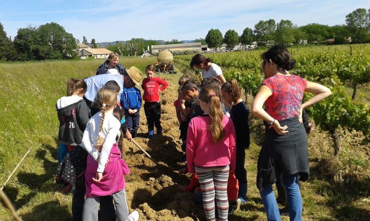 Une "vigne-école sur le captage