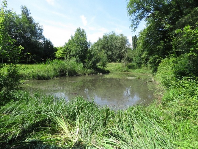 Mare de l'ouest lyonnais