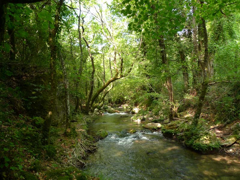Le Gapeau